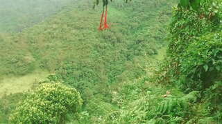 Нюлэс вылын вошъяськонын но кыл ог-огзылы юрттыны трахаться финансовой сf колумбийка нюлэ.