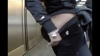 Дасс Каршы Чоң Ванильного Мүчөсү