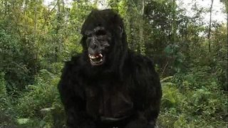 Kral Dong&amp;#039;in 40oz Sıçrama!