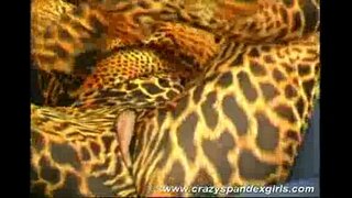 مجنون دنه فتاة إغاظة الجنس