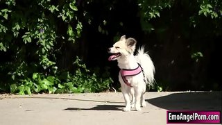 Petite tatoveret babe finder sin hund til hendes naboer ejendom.Hendes nabo ønsker en belønning, de fjerner deres tøj, og hun struber derefter naboer bigcock.In returner hendes nabo knepper hendes fisse og røv dybt og hårdt, indtil han cums på hende.