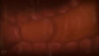 Cumming vo vnútri maternice